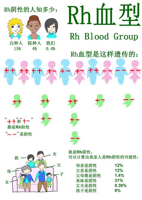 血型 查詢|血型 ( ABO & Rh )